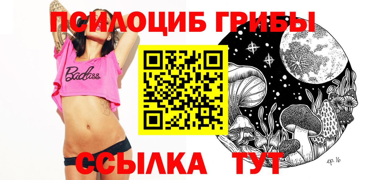 Галлюциногенные грибы Cubensis  Галлюциногенные грибы прущие грибы  Заринск  Вход с VPN 